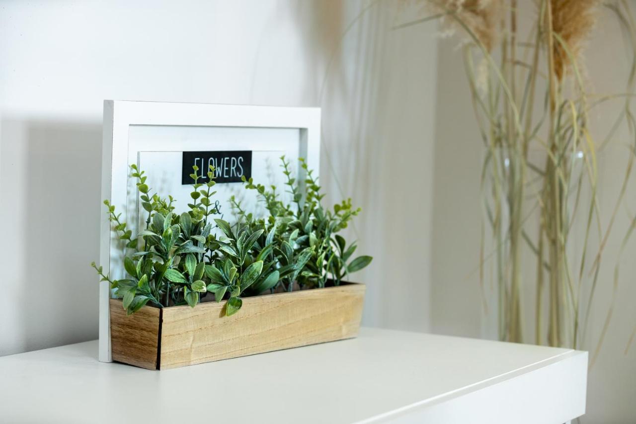 Apartment Roni + Besplatan Parking Ζαντάρ Εξωτερικό φωτογραφία
